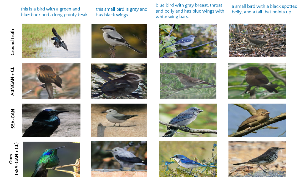 Four captions, the real photo, and the birds generated by AttnGAN + CL, SSA-GAN and my model.